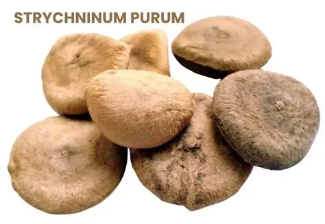 Strychninum