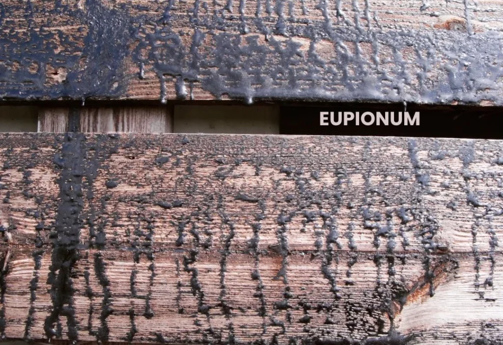 Eupionum